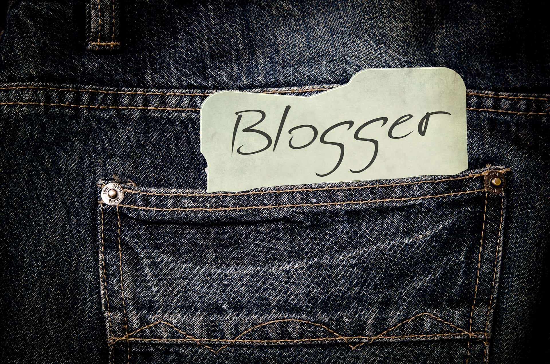 Do You Have What It Takes To Be A Professional Blogger?